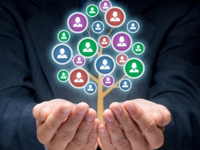 Cursus Basisvaardigheden teamontwikkeling