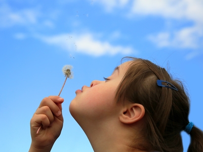 Wet Zorg en dwang in de gehandicaptenzorg