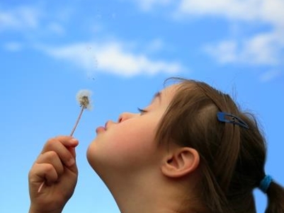 Wet Zorg en dwang in de gehandicaptenzorg