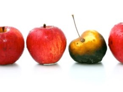 Excelleren of disfunctioneren medisch specialisten